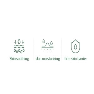 mixsoon Soondy Centella Asiatica Essence Instant Hydrating & Soothing Essence for Irritated, Sensitive Skin for Korean Skincare For Glass Skin-Jeju Island Cica Extracts (3.38 fl.oz / 100ml)