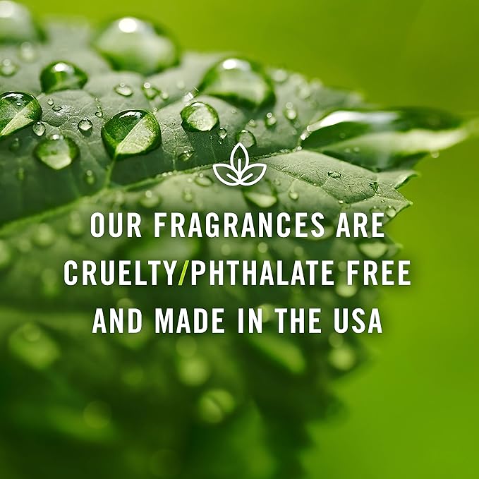 P&J Trading - Green Tea Scented Oil 30ml - Fragrance Oil for Candle Making, Soap Making, Diffuser Oil