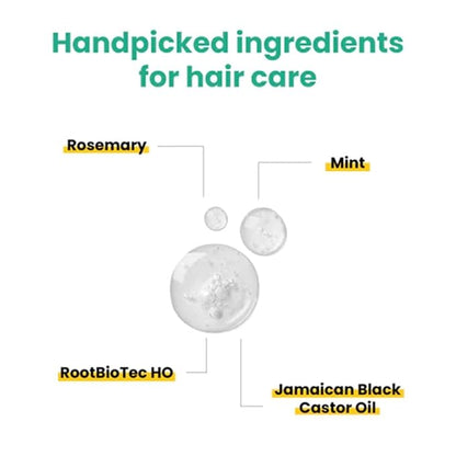 Anveya Rosemary Mint Hair Oil | Hair Oils for Hair Growth & Dandruff Control | Rosemary Oil for Hair Growth & Hair Care | Smoothens Dry Scalp, Reduces Hair Fall & Split Ends | for Men & Women | 50ml