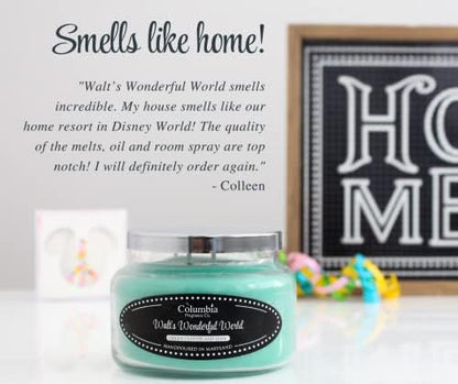 Walt’s Wonderful World Disney Room Spray – Set of 2 – Long-Lasting Disney-Inspired Green Clover & Aloe Scent – Fresh Disney World Hotel & Park Magic Spray – 4 oz Each
