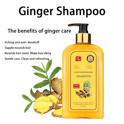 Ginaday Instant Ginger Hair Regrowth Shampoo, Ginger Anti-Fall Shampoo for Hair Growth, Anti-Hair Loss Hair Shampoo (1Pcs 16.91FL.oz/500ML)