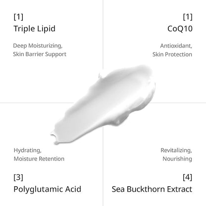 depology Triple Lipid+Q10 Facial Moisturizer | Daily Face Cream with Ceramides and Niacinamide for All Skin Types | Hydrating Face Moisturizer Targets Signs of Skin Stress | 1.69 fl oz