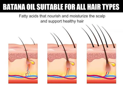 Eelhoe Batana Oil for Hair Growth, 2.02 fl oz, Hair Thickening Treatment with Vitamin E