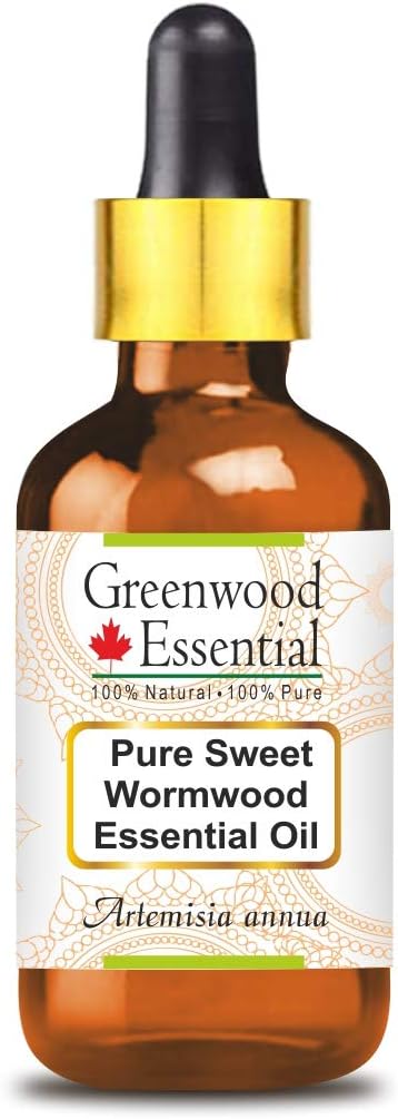 Greenwood Essential Sweet Wormwood Essential Oil (Artemisia annua) with Glass Dropper | Pure | Non-Sticky | Non-Greasy | Lightweight | Men & Women | All Skin Types | Steam Distilled 10ml (0.33 oz)