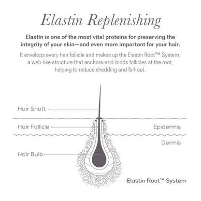 NULASTIN Shape Altering Eyebrow Serum - Brow Serum to Shape & Define - Improves the Appearance of Sparse Eyebrows for a Fuller Look - Enriched with Hair-Strengthening Ingredients (0.1 Fl Oz)