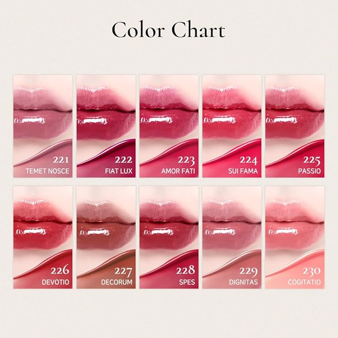 DINTO Blur-Glowy Lip Tint (227 Decōrum)