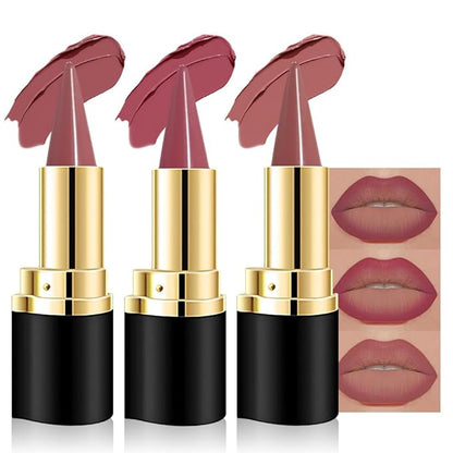 evpct 3Pcs Mauve Red Dusty Rose Gradient Matte Lipstick Lip Liner Crayon Combo Pencil Set for Women Long Lasting Waterproof, Cream Lip Liner and Lipstick Combo Makeup，Flawless Gradual Ombre Effect