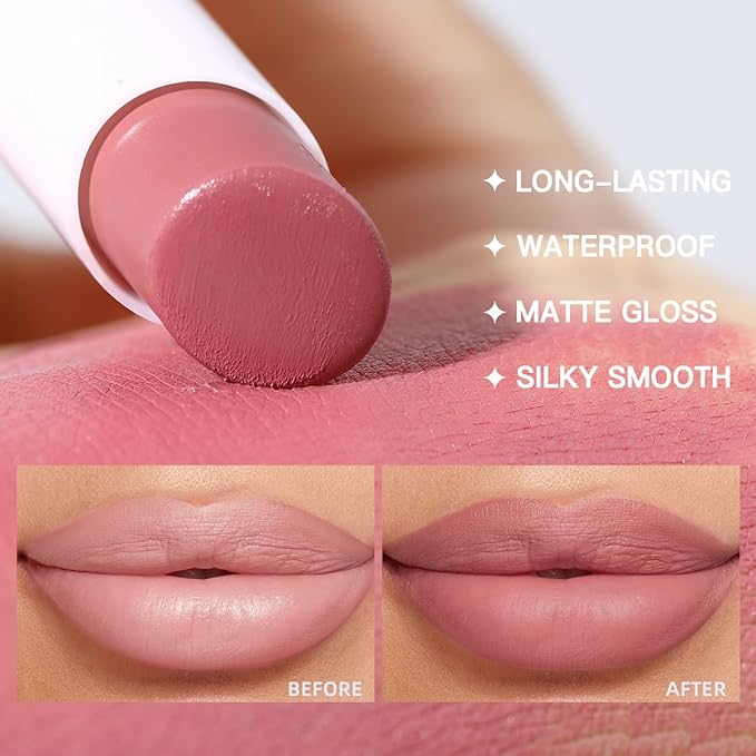 USHAS 2 in 1 Waterproof Lipstick and Lip Liner Set - Long Lasting Matte Lipstick Pen with Lip Liner - Makeup Kit (S8, Pack of 1)