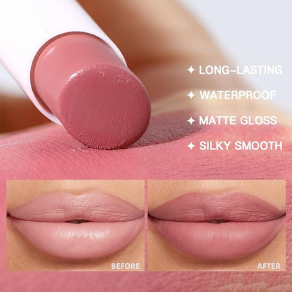USHAS 2 in 1 Waterproof Lipstick and Lip Liner Set - Long Lasting Matte Lipstick Pen with Lip Liner - Makeup Kit (S8, Pack of 1)