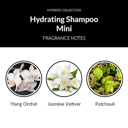 Number 4 Mini Hydrating Shampoo, Travel Size Shampoo for Women and Men. Sulfate, Gluten, & Paraben Free. Moisturizing & Color Protecting, 1.5 oz