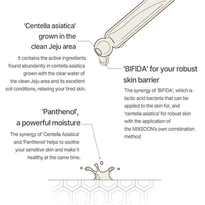Master Serum Moisturizing Serum for Healthy Skin and Improve Skin Barrier | Cruelty Free Korean Glass Skincare