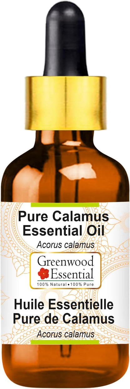 Greenwood Essential Pure Calamus Essential Oil (Acorus Calamus) with Glass Dropper Steam Distilled 5ml (0.16 oz)