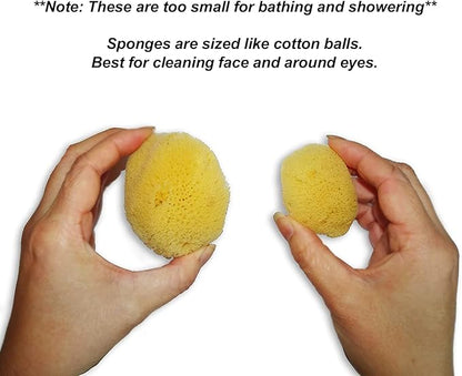 Natural Sea Silk Sponges 12pk: Size 9pc x1.5-2.5" 3pc x 2.5"-3", Like Cotton Balls, for Cosmetic Use, Makeup Application & Removal, Face & Eye Cleaning, with Luxury Gift Bag by Constantia Beauty®