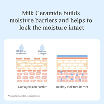 NACIFIC Uyu Cream Moisturizing Set Toner 150ml 5.07fl.oz, Ampoule 50ml 1.69fl.oz, Cream 50ml 1.69fl.oz, Milk Jeju Island, 100 housr lasting, Deep Moisture
