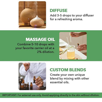 Majestic Pure Tea Tree Essential Oil with Glass Dropper - 3.4 Fl Oz - 100% Pure and Natural Tea Tree Oil - Premium Grade Essential Oils for Diffuser, Aromatherapy, Soap and Candle Making