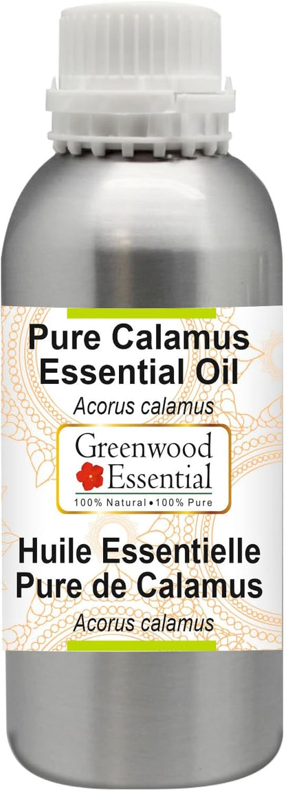 Greenwood Essential Pure Calamus Essential Oil (Acorus Calamus) Steam Distilled 1250ml (42.2 oz)