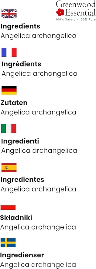 Greenwood Essential Pure Angelica Essential Oil (Angelica archangelica) Steam Distilled 2ml (0.06 oz)