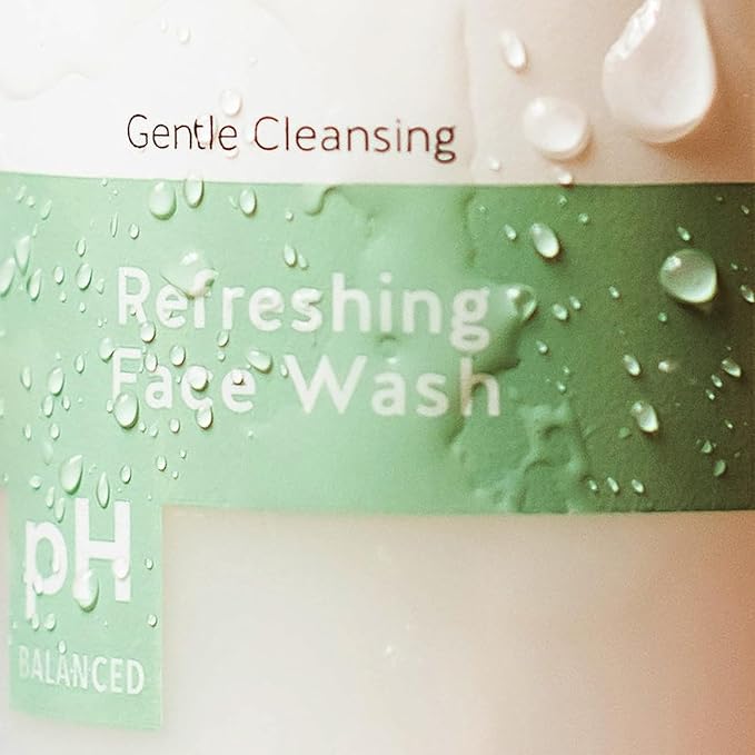 Alpha Skin Care Refreshing Face Wash, Gentle Soap-Free Formula, Citric AHA, Cleanses, Purifies, Tones & Restores pH, All Skin Types, Removes Make-Up & Oil, Anti-Aging Ingredients, 6 Oz, Pack of 2