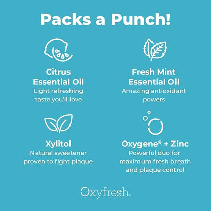 Oxyfresh Premium Lemon Mint Fresh Breath Toothpaste to Help Fight Bad Breath, Anti Plaque & Tartar Control - Low Abrasion Gel, SLS & Fluoride Free Toothpaste with Essential Oils, 5oz (Pack of 2)