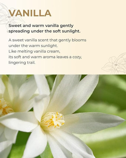 BOM Chiffon Vanilla Body Mist 3.71 Fl Oz, Vanilla Scented Fine Mist with Hyaluronic Acid, Niacinamide & Vitamin C, Hydrating, Lightweight, Long Lasting Fragrance, Korean Skincare