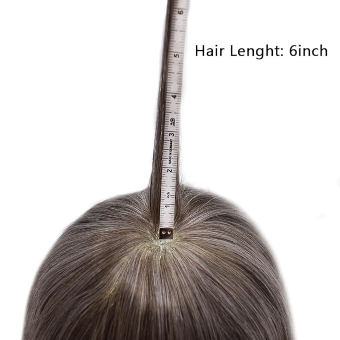 FACE MIRACLE Toupee for Men French Lace Hairpiece Human Hair Replacement System Skin PU Mens Toupee Hair Wigs for Man V-Looped Front Hair Prosthesis 8"X10" #450 4# MEDIUM BROWN WITH 50% SYNTHETIC GREY