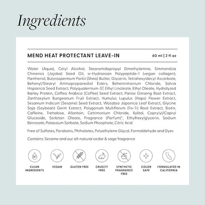 Arey Mend Heat Protectant Leave-In Conditioner | Detangles, Rehydrates, Strengthens and Protects Hair up to 450°F | Vegan, Cruelty-Free & Gluten-Free (2 Fl Oz)