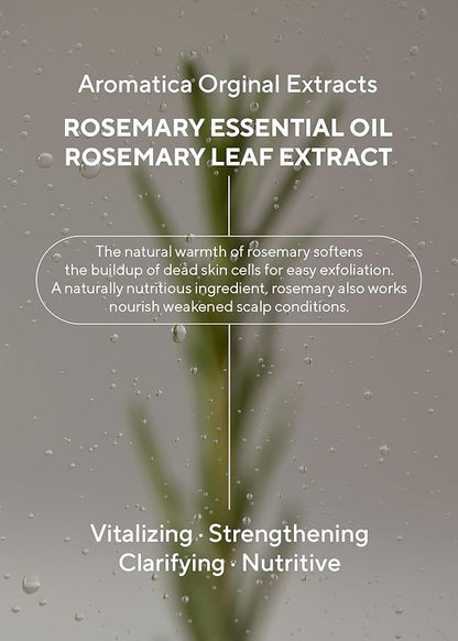 AROMATICA Rosemary 3-in-1 Hair Treatment – Nourishing & Moisturizing Hair Mask with Rosemary & Betaine, Cream Adds Shine & Softness, Deep Conditioner for Dry & Damaged Hair, Korean Hair Care 5.4 fl.oz