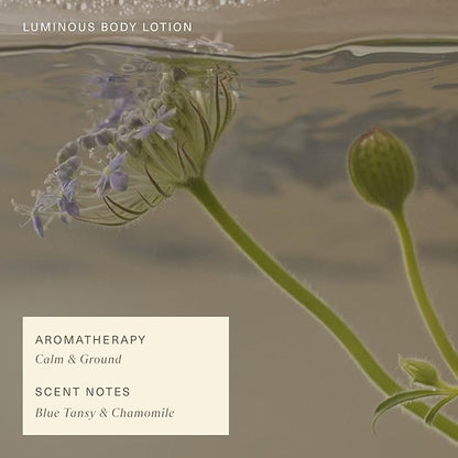 Oak Essentials Luminous Body Lotion | Hydrating Blue Tansy Body Lotion with Rose Oil, Turmeric, Shea Butter and Coconut Oil, 10.1 Fl Oz