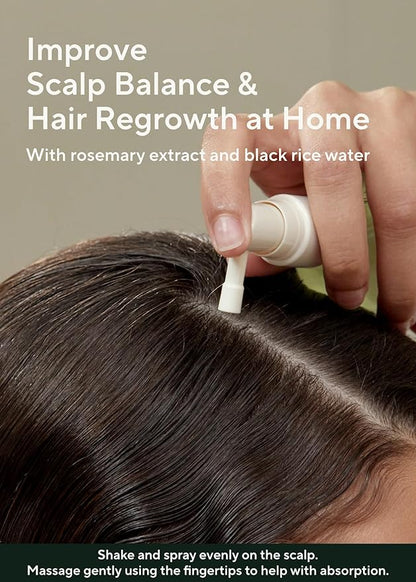 AROMATICA Root Enhancer (2 Packs) Rosemary Water Spray for Hair Growth – Korean Hair Care Oil for Scalp Detox – Flaky & Itchy & Dry Scalp Treatment – Free from Sulfate, Silicone, and Paraben (3.38oz)