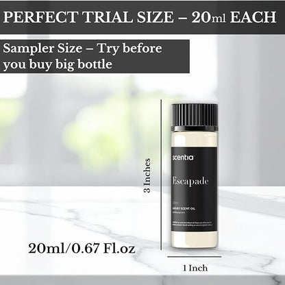 Scentia Hotel Inspired Collection Diffuser Oils – 3×20ml Aromatherapy Set | Luxury Scents Inspired by 5-Star Hotels | Gift-Ready Essential Oil Blend - Thanksgiving & Holiday Gift