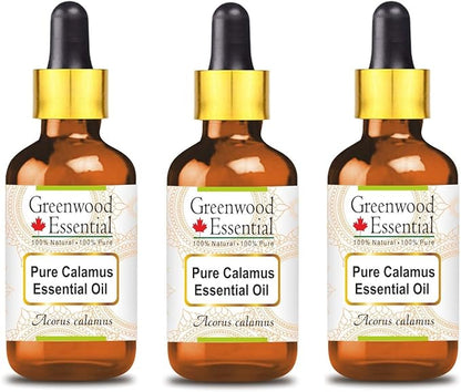 Greenwood Essential Pure Calamus Essential Oil (Acorus Calamus) with Glass Dropper Steam Distilled (Pack of Three) 100ml X 3 (10.1oz)