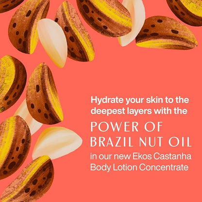 Natura Ekos Castanha Body Lotion Concentrate Kit - Anti-Dryness - Deep Skin Hydration Moisturizer - Vegan Skin Care - Self Care & Body Care