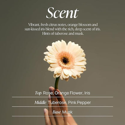 VOYAGER Foaming Body Wash with Pump, Non-stripping, Nourishing & Deep Hydration Cleanse. 10.14 Fl. Oz./300ml (Rose)