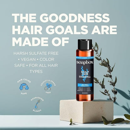 Soapbox Men's Scalp Care 2 in 1 Shampoo and Conditioner For Men, Natural Mens Shampoo and Conditioner, Tea Tree & Eucalyptus, 16oz