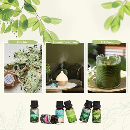SALKING Nature Fragrance Oils, Premium Essential Oil for Diffuser, Scented Oil Gift Set for Soap Candle Making - Pine, Ocean Breeze, Rain, Fresh Cut Grass, Wildflowers, Mountain Air