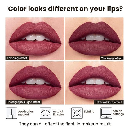 Nude Brown Liquid Lipstick for Women - Mate Long Lasting Smudge-Proof Transfer-Resistant Lip Color Waterproof Non-Transfer Formula (Whispering Wind)