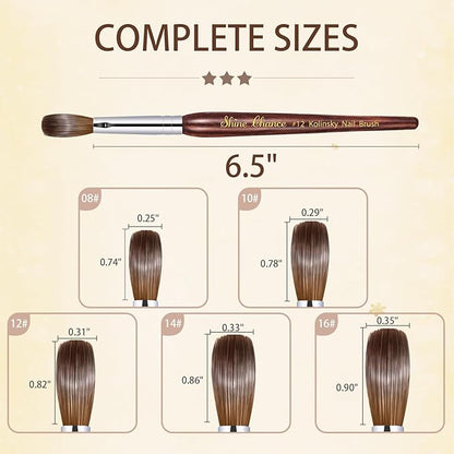Acrylic Nail Art Brush Size 14, 100% Pure Kolinsky Hair Oval Nail Brush for Acrylic Application, Professional Nail Extension Manicure Tool Striping Nail Drawing Pen for DIY Home Salon