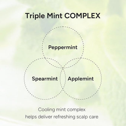 Purifying Hair & Dry Scalp Treatment Mist – Korean Hair Care with Triple Mint Complex for Oil Control, Soothing & Leave-In Conditioner – Paraben, Silicone & Sulfate Free – Green Breeze, 3.38 fl oz