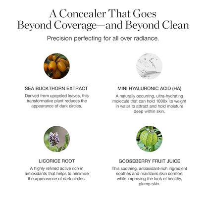 Ogee Complexion Perfecting Under Eye Concealer - Certified Organic Full Coverage Concealer - Buildable Coverage - ALDER 0.07C - Light Fair (Cool Undertones)