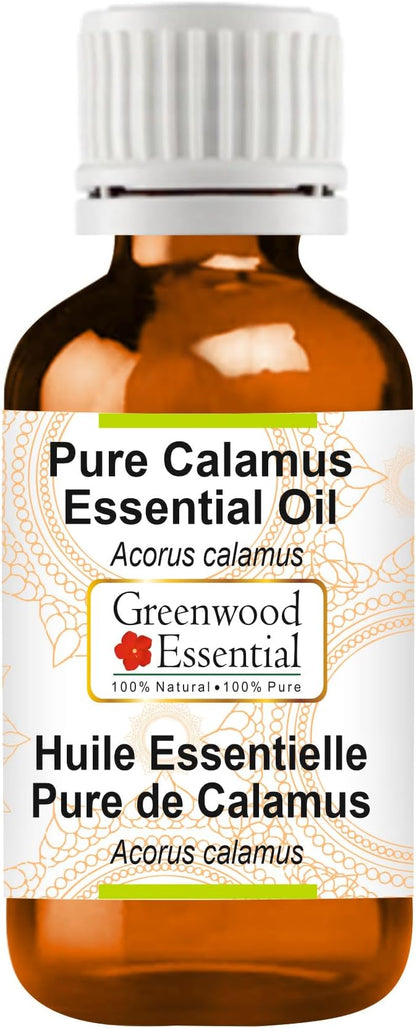Greenwood Essential Calamus Essential Oil (Acorus Calamus) Pure | Non-Sticky | Non-Greasy | Lightweight | Men & Women | All Skin Types | Steam Distilled 50ml (1.69 oz)