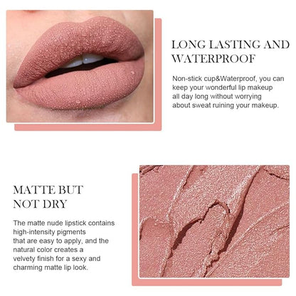 BINGBRUSH Crayon Matte Longwear Lipstick Pack Set,Moisture Smooth Color Stick Ultimate Lip Crayon for Makeup Collection - Waterproof Velvet Lipgloss (06#, 1 Count (Pack of 1))