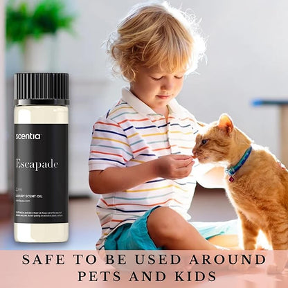 Scentia Hotel Diffuser Oil Inspired by 5-Star Hotel Scent - 20 mL 0.67 fl oz - Aromatherapy Fragrance Oil Inspired by 5 Star Hotel - Escapade, Thanksgiving Gift