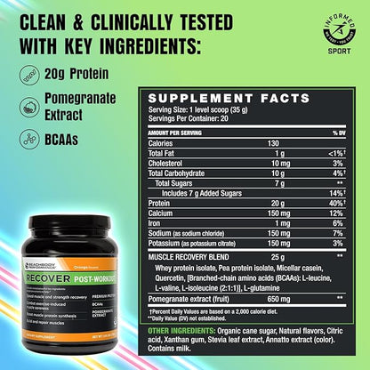 BODi Recover Whey Protein Powder Blend– Post-Workout Orange Whey Supplement for Muscle Recovery with 20g Protein, BCAAs, Pomegranate Extract - Fast Recovery - 20 Serving Tub