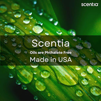 Scentia Hotel Diffuser Oil - 120 ml 4.06 fl oz - Fragrance Oil Blend with White Tea, Natural Home Fragrance and Hotel Scent for Diffusers & Machines -Dream Walk, Thanksgiving Gift