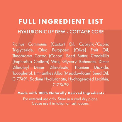 Handmade Heroes 100% Natural Vegan Tinted Lip Gloss with Hyaluronic Acid - Lightweight Moisturizing Soft Lipstick for Dry Lips - Cottage Core (Pink)