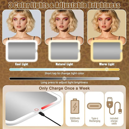 15''X11'' Large Makeup Bag with Removable Lighted Mirror, Professional Travel Make up Bag with Mirror and Light Cosmetic Train Case Organizer, PU Leather with Adjustable Dividers & Brush Storage Board