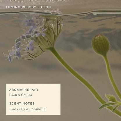 Oak Essentials Luminous Body Lotion | Hydrating Blue Tansy Body Cream with Rose Oil, Turmeric, Shea Butter and Coconut Oil, 1.33 Fl Oz (Travel Size)
