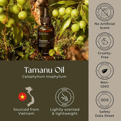 Gya Labs Tamanu Carrier Oil - 1 Fl Oz - for Hair, Skin, Face, Scalp & Body Massage