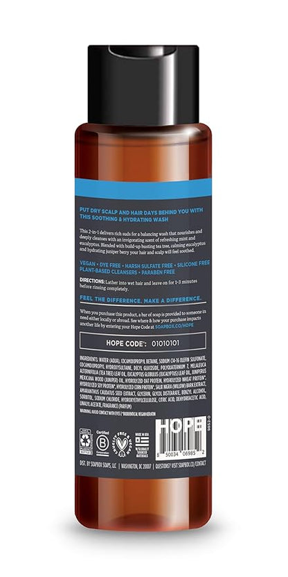 Soapbox Men's Scalp Care 2 in 1 Shampoo and Conditioner For Men, Natural Mens Shampoo and Conditioner, Tea Tree & Eucalyptus, 16oz