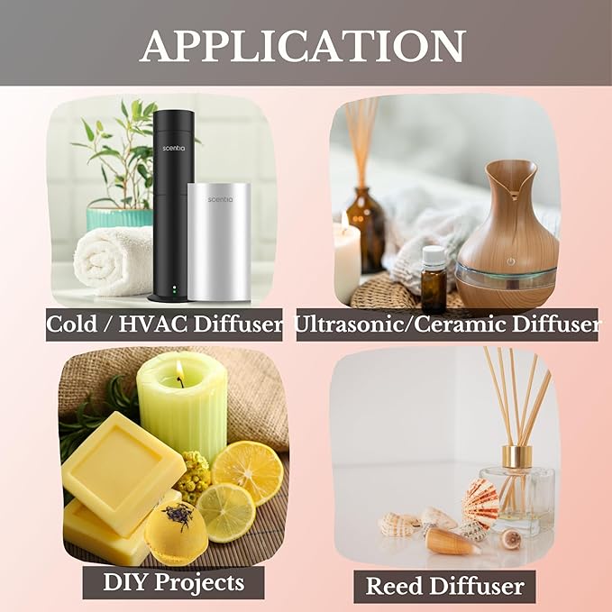 Scentia W Magic Hotel Diffuser Oil Inspired by W Signature Hotel - 20 mL 0.67 fl oz - Aromatherapy Oil for Diffusers, Candle Making & DIY Crafts - Thanksgiving & Holiday Gift